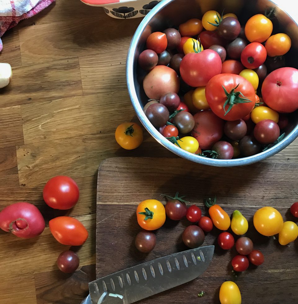 pomidory różne gatunki