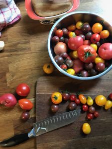 pomidory różne gatunki